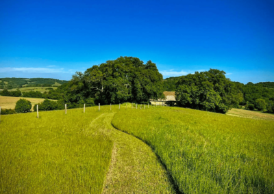 sentier village